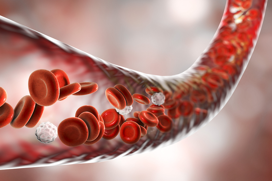 Causes Of Low Blood Protein Lifeline Laboratory