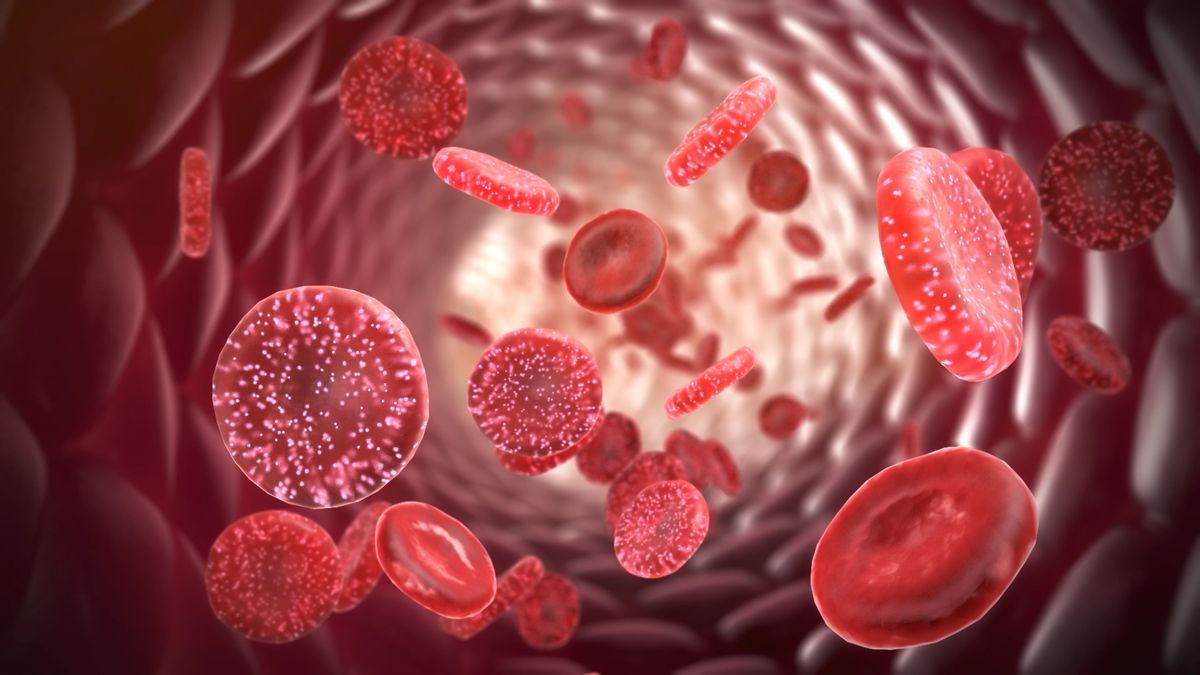 causes-of-low-blood-protein-lifeline-laboratory